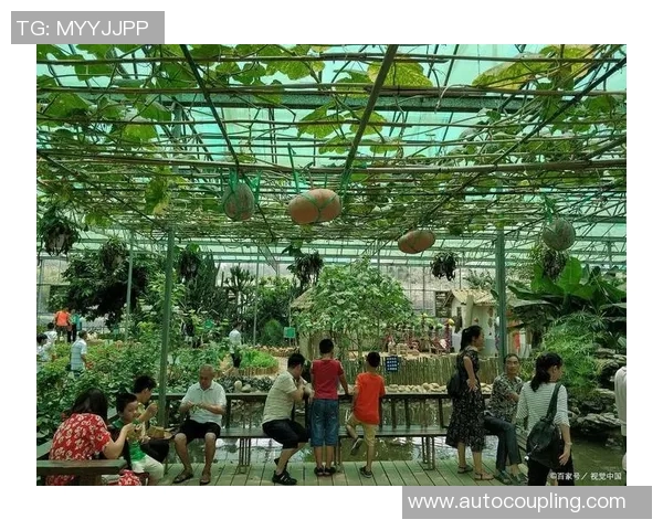 果园乐园：采摘乐趣无穷