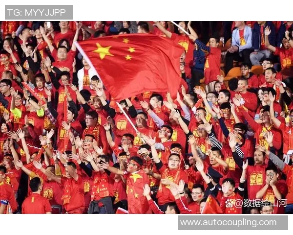 中国足球明星全景回顾与成就分析详解